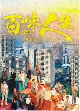 迷雾档案 免费追剧app热播剧集